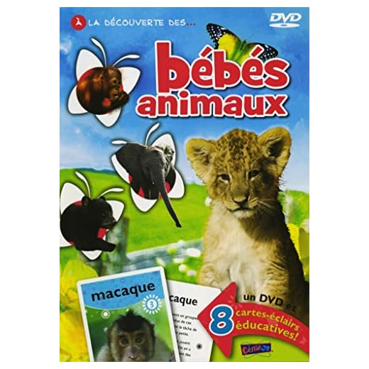 A la Decouverte des Bebes Animaux // Bebes Animaux