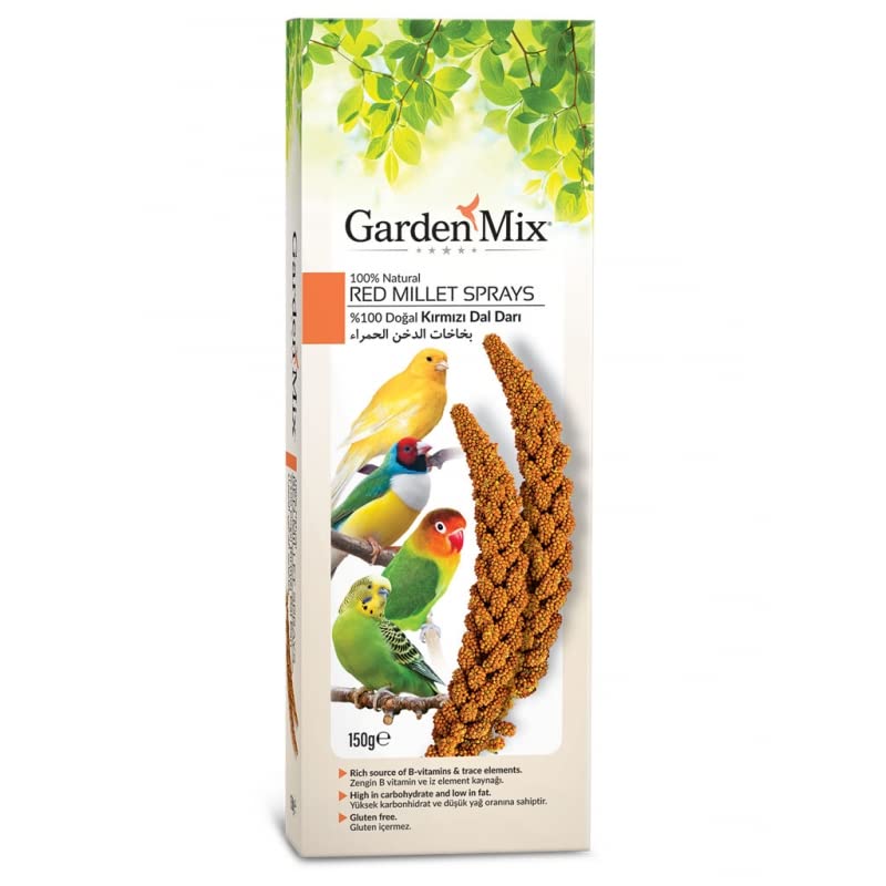 Gardenmix Platin Kırmızı Dal Darı Yeni Hasat