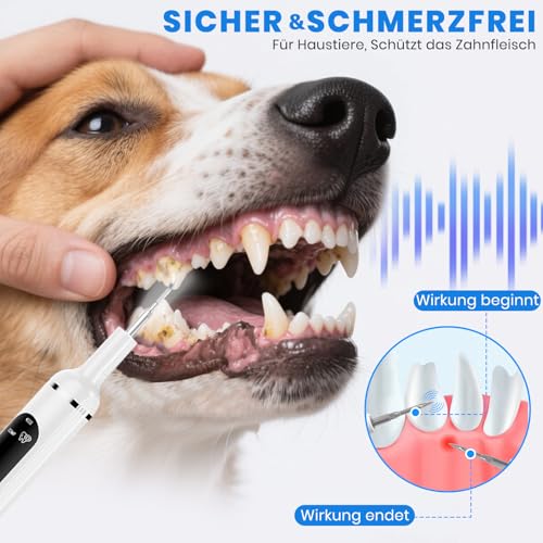 Bibykivn Zahnreiniger Ultraschall für Hund, Hundezahnreinigungsset, Zahnreiniger für Haustiere mit LED-Licht, 5 Reinigungsmodi, 4 Reinigungsköpfe (Weiß)