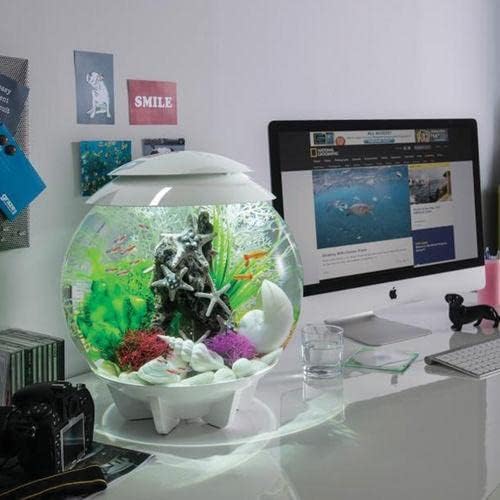 biOrb Halo 15 Acrylic 4-Gallon Aquarium with Multi-Color Remote-Controlled LED Lights Modern Compact Tank for Tabletop or Desktop Display, White Contemporary, Tech-Integrated White 4 Gallon