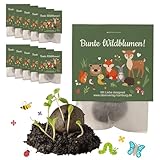 10x Waldtiere Samenbomben als Mitgebsel Kindergeburtstag 4 bis 8 Jahre - Blumensamen Geschenk als Kindergeburtstag Gastgeschenke & kleine Geschenke für Kinder - Geschenktüten Kindergeburtstag