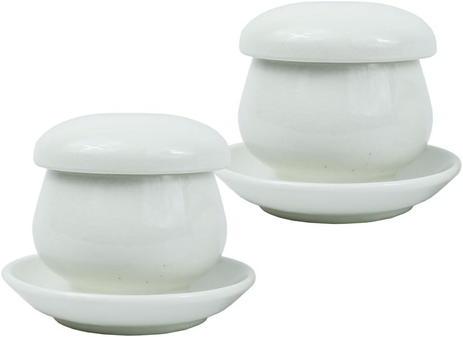 Set of 2, Korean Ceramic Porcelain Tea Mug Cup with Infuser Lid Saucer Set Coffee Mug Teacup Loose Leaf Tea Brewing System