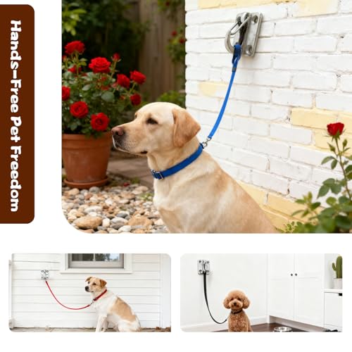 Ganchos para perros 27 Imagen adicional