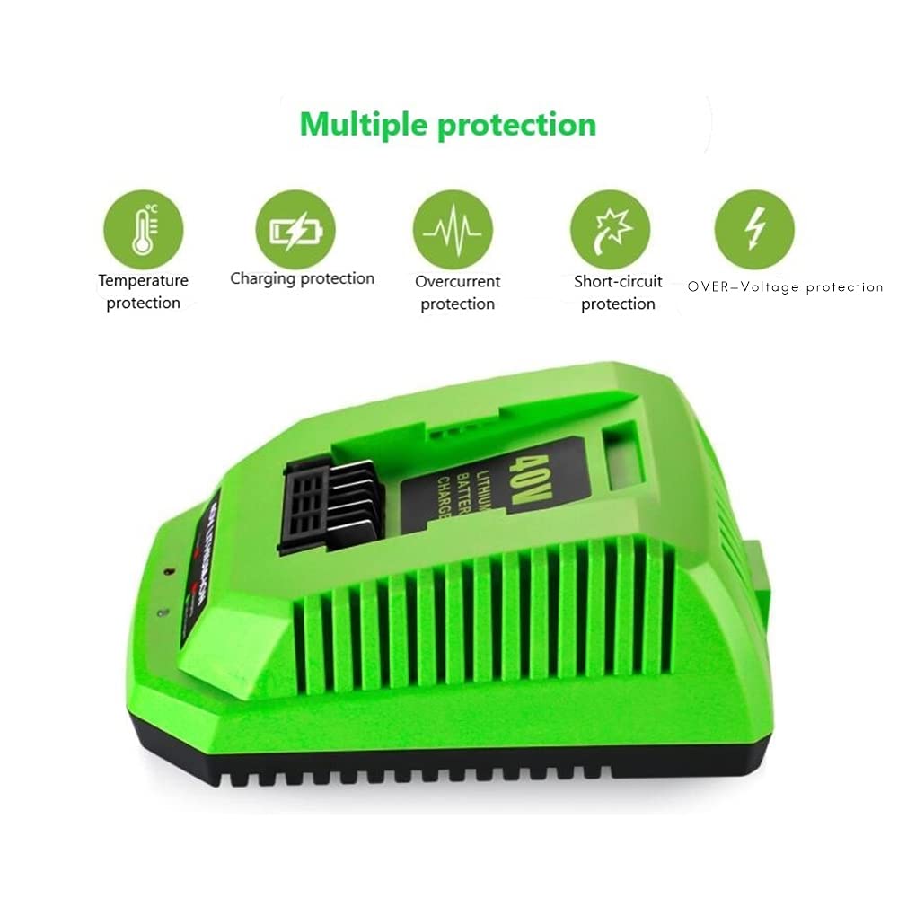Caricabatterie da 40 V al litio per GreenWorks 29482 G-MAX Batteria agli di litio da 40 V 29472 29482 29652 G40825 Spina UE