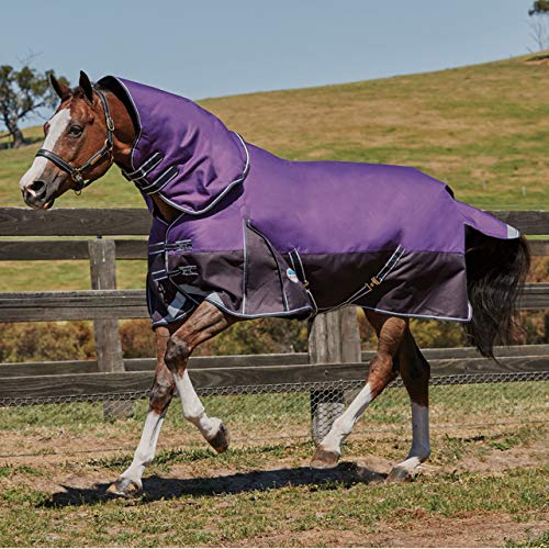 Couverture Weatherbeeta comfitec Plus Dynamique décolleté violet noir 6'5 pour cheval