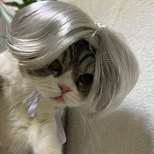 TESSVEYA Peruca divertida para cosplay de cães, gatos, acessório de cabeça, fantasia de gato para Ha