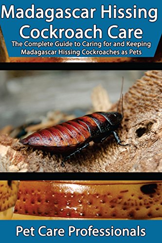 Madagascar Hissing Cockroach Care: The Complete Guide to Caring for an
