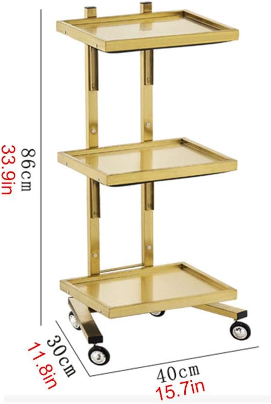 Medical Trolley Cart Foldable Hairdressing Trolley Assembled Beauty Trolley Stainless Steel 3-Layer Special Tool Cart Easy to Move Surface Drawing Process (Silver)