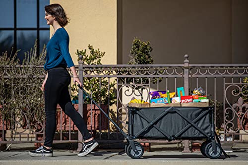 Image of Picnic Time NFL Adventure Wagon