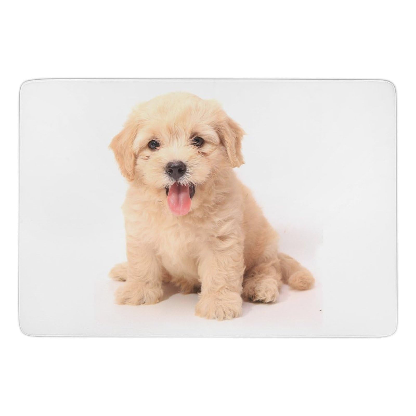 Amazon | ラグ カーペット ゴールデンレトリバー かわいい いぬ 犬 