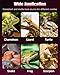 Pawfly 28 W Reptile Heat Pad 11 x 11 Inch Reptile Heating Pad Under Tank Terrarium Safe Fast Heating Mat Heat Mat for Turtles Frogs Snakes Lizards Geckos Hermit Crabs Spiders & Other Reptiles