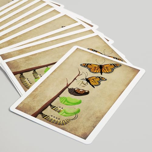 Baraja de 52 cartas tamaño póker ciclo mariposa monarca miniatura 5