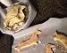 Exclusive Dachshund Dog Cookie Cutter, Real Dachshund Shape 6" Long