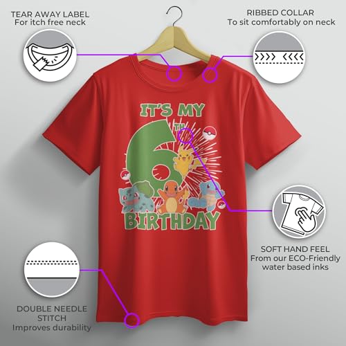 Boy's Pokemon It's My 6th Birthday Starters T-Shirt3