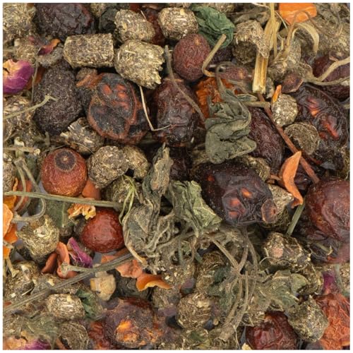 JR FARM Chinchilla-Spezial 500 g