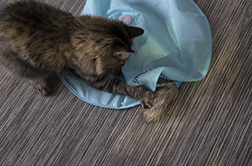 SmartyKat Hot Pursuit Cat Toy - Image 7