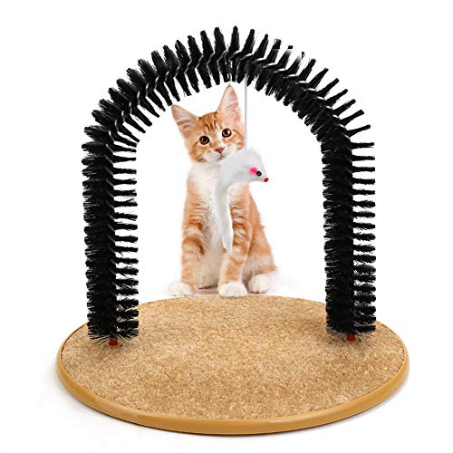 Top 10 Best Cat Self Grooming Arch of 2022 Review – Best Pet Pro