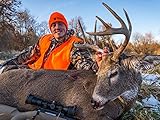 Iowa - Public Land Buck Down!