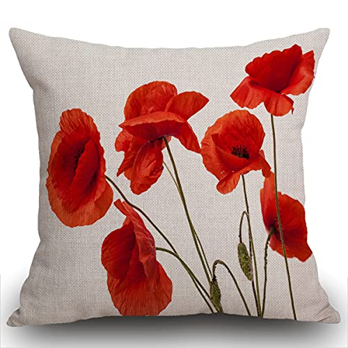 Smooffly Housse de coussin décorative avec motif de coquelicot - Housses de coussin carrées jetées 45 x 45 cm - Fleurs de coquelicot blanches et rouges -...