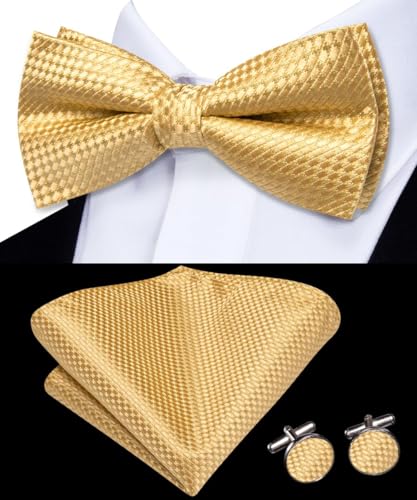 Image of Dubulle Mens Paisley Striped Bowtie Set Pre-tied Bowtie for Men and Pocket Square Set Wedding Business