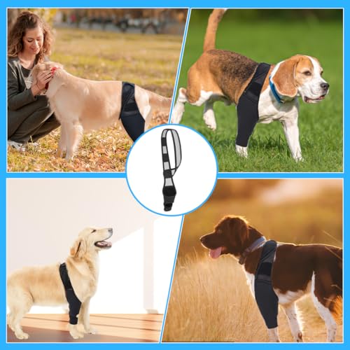 EIHI Kniebandage Hund Hinterbein für das Linke Bein - Hergestellt aus Neopren,für Kreuzbandriss,Bänderverletzungen,Patellaluxation oder Osteoarthritis - Größe L