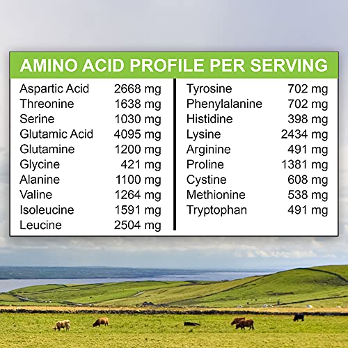 Marigold Grass-fed Whey Isolate Protein Powder - Rich Chocolate Malt Flavor - 1 Lb | 100% Pure, Cold-Processed, Micro-Filtered, Undenatured, Non-GMO, rBGH Free, Soy Free, Gluten Free, Lactose Free - Image 5