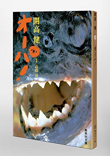 開高健 作品集 14冊セット 書籍 写真集 管Y 開高健 作品集 14冊セット 書籍 写真集 管Y - メルカリ