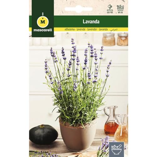Mascarell Semillas, LAVANDA, Semillas de Hierbas Aromáticas para Plantar, Crea tu Propio Huerto en Casa, 0,5 Gramos