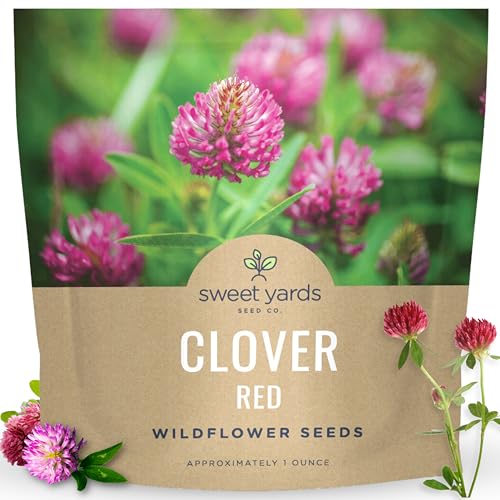 Red Clover - Large 1 Ounce Packet - 15 000 Flower Seeds for Planting - Trifolium pratense