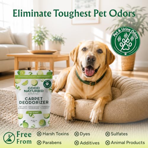 Image of Good Natured Brand Carpet Deodorizer & Pet Odor Eliminator Powder, 31oz