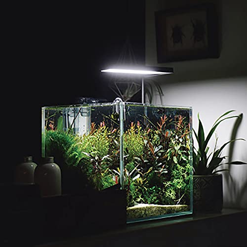 Image of Allcolor Artisan Grade Ultra Clear Rimless Aquarium Tank (7Gal) | Low Iron Glass Fish Tank for Professional Aquascaping and Planted Layouts, 6-60 Gallons (7Gal - Top Glass Canopy)