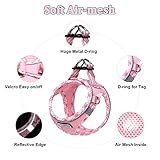 Mercano Soft Mesh Dog Harness and Leash Set, No-Chock Step-in Reflective Breathable Lightweight Easy Walk Vest Harnesses with Safety Buckle for Small Dogs, Cats (Pink, S)