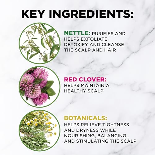 CHI PowerPlus Renewing Haircare Starter Kit, Healthy Hair Renewal System - image 3