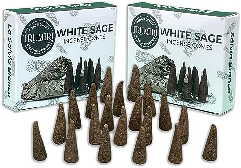 White Sage Incense Cones - Total 20 Cone Incense - Dual Pack of 10 Insence Cones - Incense Cones Scented - Cone Incense Scents - Insense Cones - Incent Cone