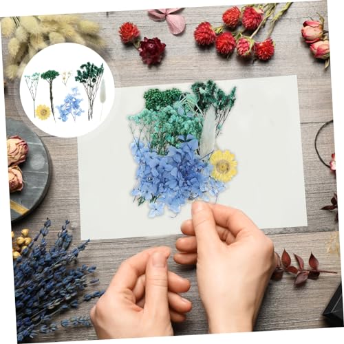 Flores prensadas naturales para manualidades 1 pack miniatura 2