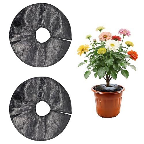 CHENNAN 2 Stück Bewässerungsring 30cm Baum-Bewässerungsbeutel Automatisches Nachfüllen mit Regen und langsamer Freigabe nach Bedarf Wassersparender Gießsack mit Feuchtigkeitsspeicher (Schwarz)