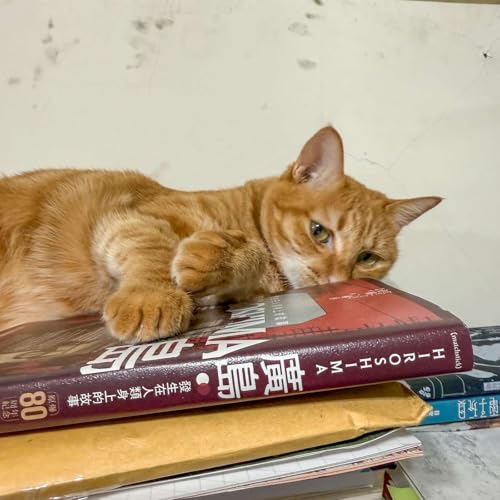 【書中自有黃金鮑EP107】讓世界免於核彈災難的並非嚇阻,而是對於廣島浩劫的記憶:《廣島》 Podcast Por arte de portada