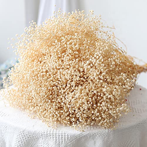 Glicrili Ramo de flores secas de aliento de bebé, flores blancas marfil de doble cantidad, ramas de gypsophila naturales, día de San Valentín, flores secas a granel para florero, corona de bricolaje p