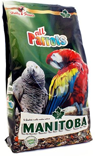 See full amazon price history chart for All4Pets Mixture Of Parrots 2Kg (All Parrot) All4Pets Mixture Of Parrots 2Kg (All Parrot) (B01LZQ8BON) Amazon Price History, Amazon Price Tracker