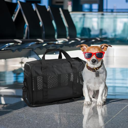 Amexo Transporttasche für Katze Hund, Hundebox Faltbar Katzen Transportboxen Hundetragetasche Transportbox mit Tragegriffen & Decke für Mittelgroße Katzen & Hunde bis 10 kg, 44 x 27 x 28 cm(Schwarz)