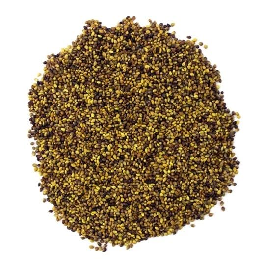 Organic Red Clover Sprouting Seeds, 500g 500g - Non-GMO | High Germination