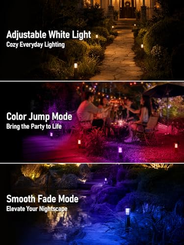 Image of LEONLITE 8-Pack RGBCW Low Voltage Landscape Pathway Lights, 3W, CRI90