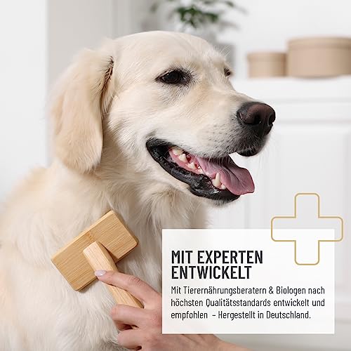 ReaVET Fellpflege Leckerlis Hund – Getreidefreier Hundesnack mit Lachsöl, Bierhefe & Kokosöl – Natürlicher Snack mit Omega-3-Fettsäuren, ideal für Fell & Hautpflege, Fellwechsel I 170 g (80 Stück)