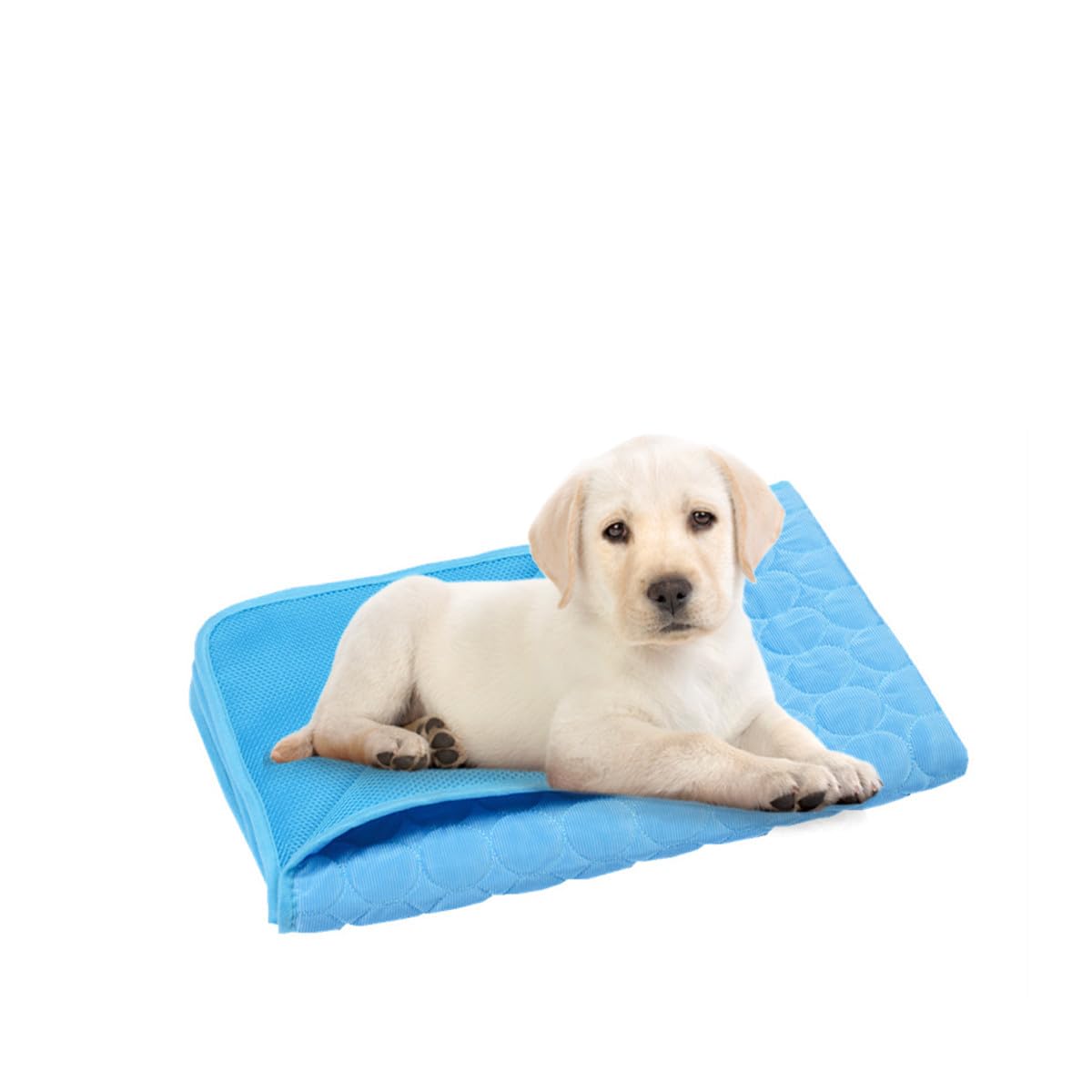 POPETPOP Dog Cooling Mat, 40 x 30 cm Self Cooling Pad with Non-Toxic, Durable Anti-Scratch Waterproof Pet Cooling Blanket for Dogs & Cats Dark Blue