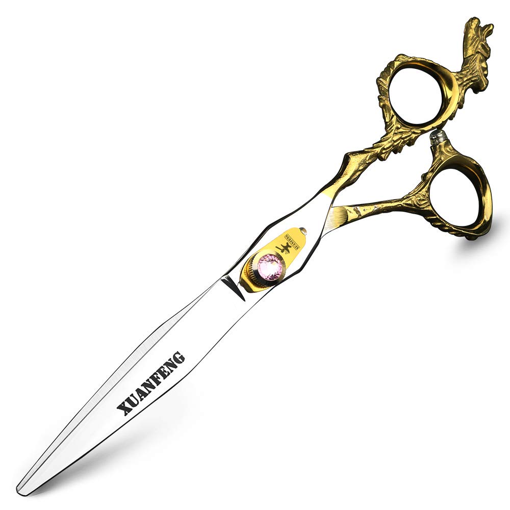 Amazon.com : XUANFENG 7 inch Gold Dragon Handle Hairdressing