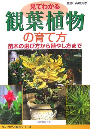 見てわかる観葉植物の育て方 苗木の選び方から殖やし方まで (見てわかる園芸シリーズ)