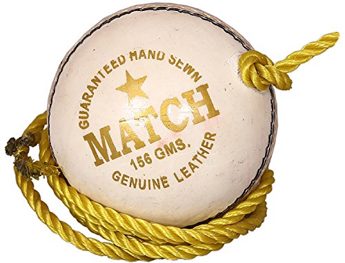 Gearex Hanging Leather Cricket Ball for Practice and Knocking Cricket Ball (White)