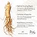 Dongjieum Korean Red Ginseng (6-Year Root) (Enhanced Ginsenoside) 120 Vegan Capsules