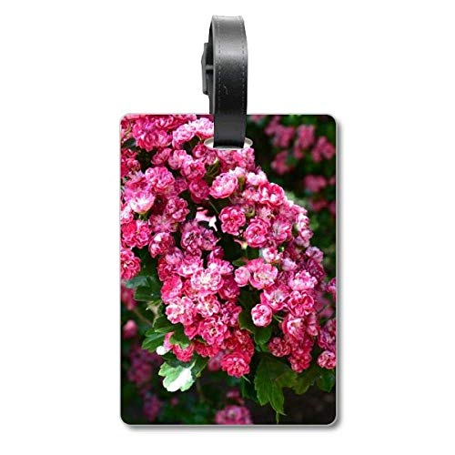 Étiquette de valise de voyage fleurs design chic et finitions haute résistance