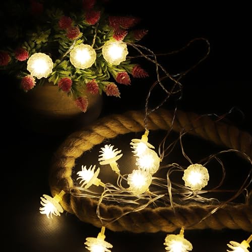 Image of Lexton Fairy 14 Flower LED String Light | 14 LED, Plug Sourced, 4 Meter Long | Suitable for Diwali, Birthday, Festival, Wedding, Party, Patio, Lawn, Restaurants (Pack of 1, Warm White)